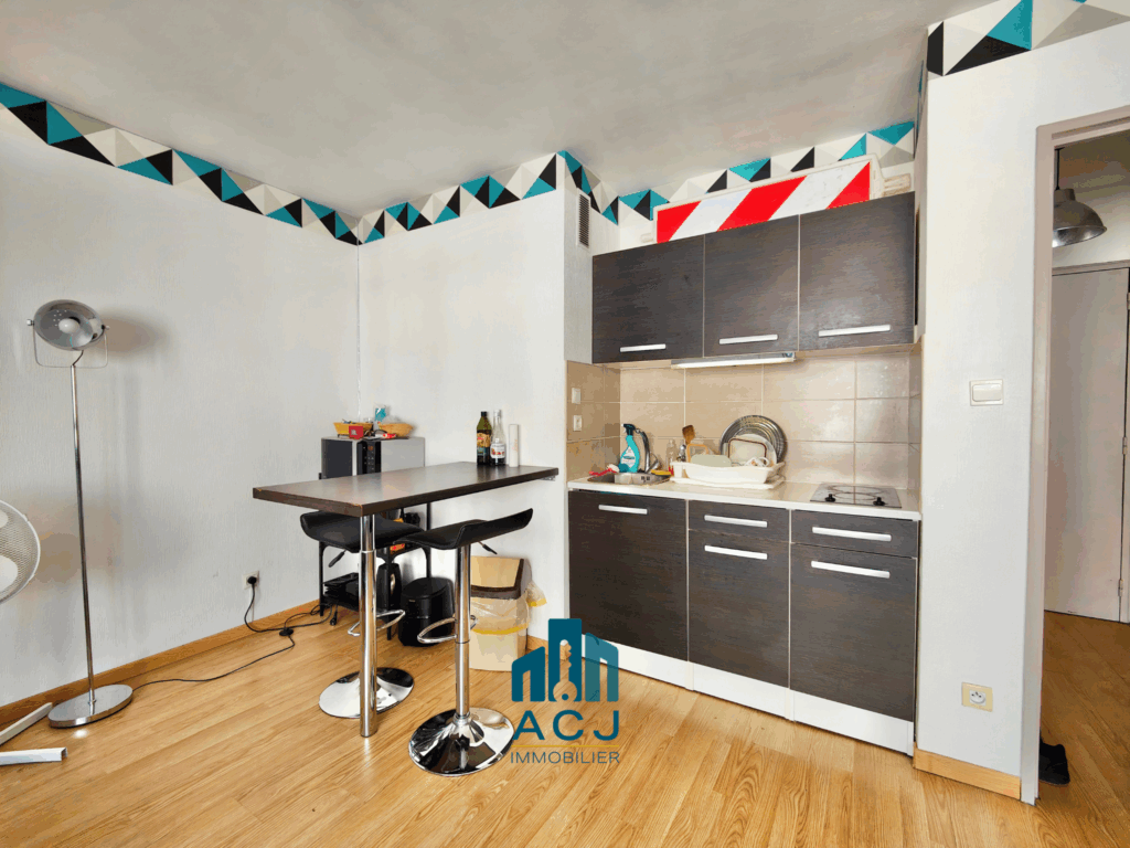 Appartement T1 Nancy COIN CUISINE