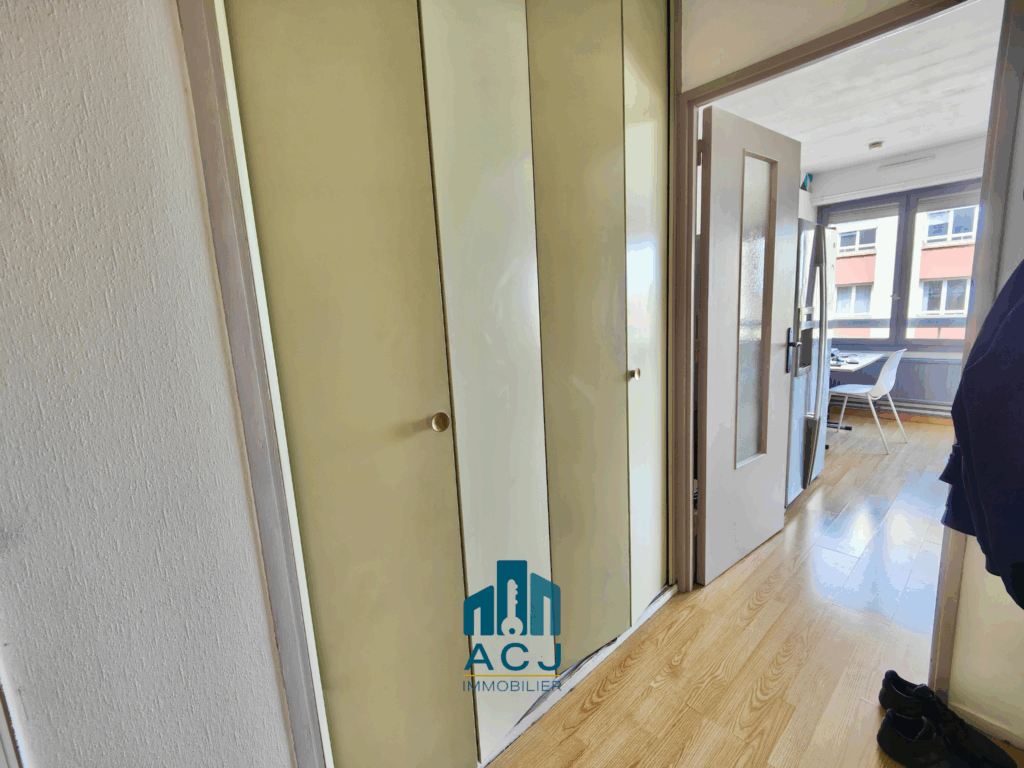Appartement T1 Nancy ENTREE PLACARD SEJOUR