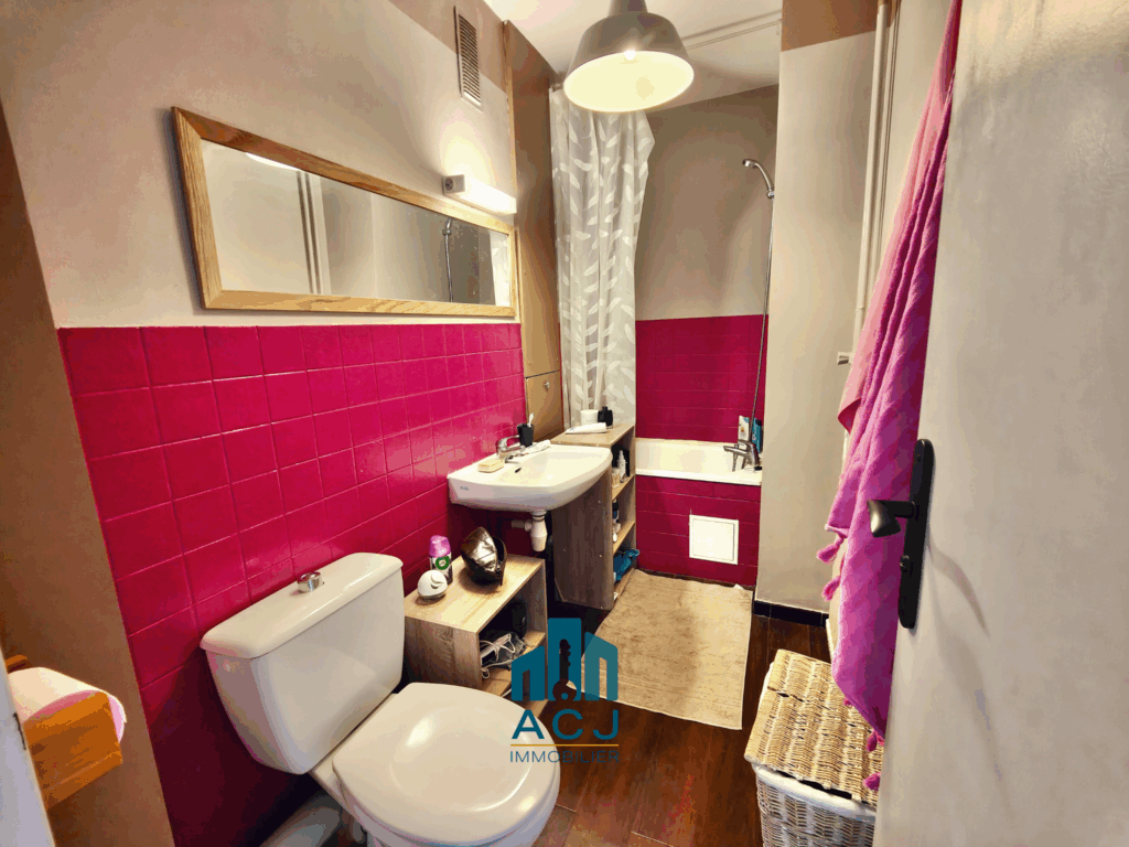 Appartement T1 Nancy SDB1