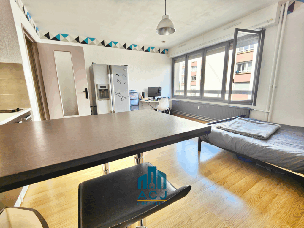 Appartement T1 Nancy VUE SEJOUR 3