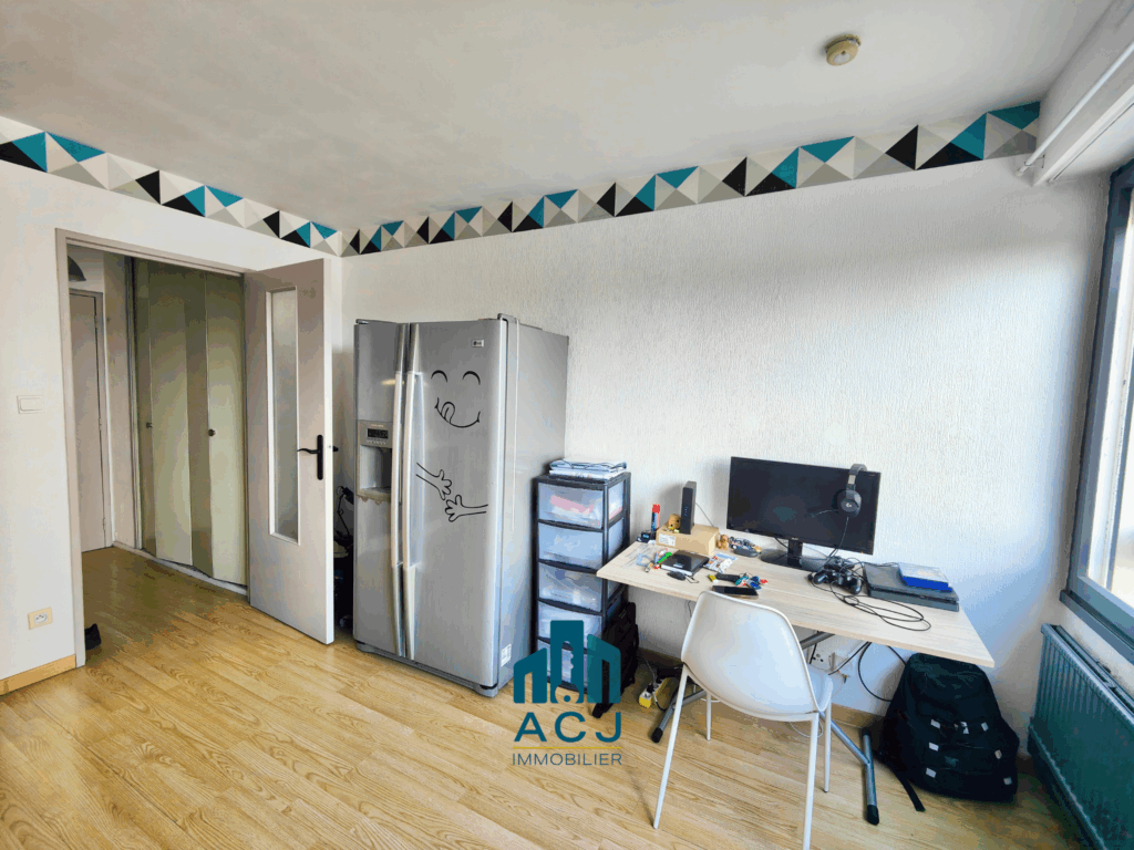 Appartement T1 Nancy VUE SEJOUR 4