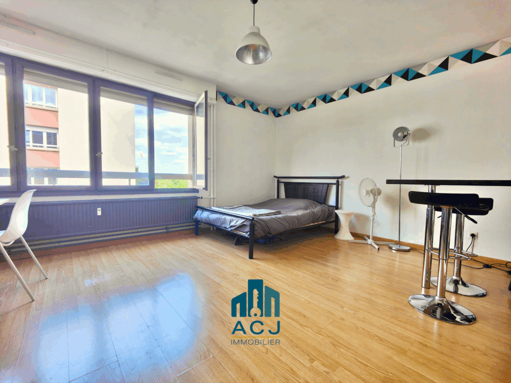 Appartement T1 Nancy VUE SEJOUR 5